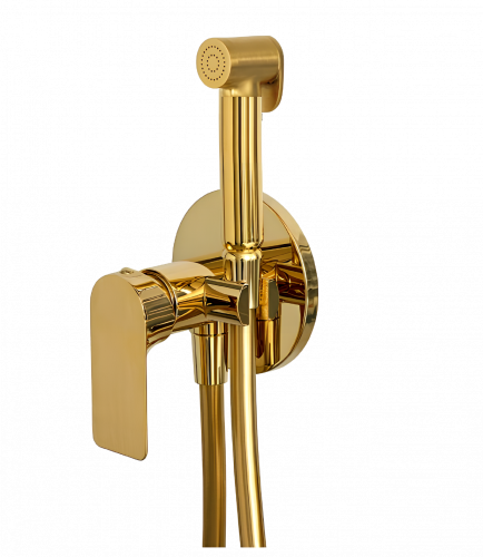 Bidet faucet | with bidet spray | podomítková | oval | gold gloss | INFINITY