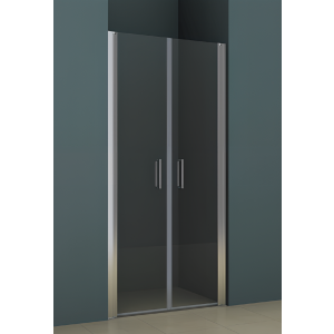 Z111 | Sprchová zástěna - dveře do niky | kyvný zdvihový mechanismus 180° | 900 x 2000